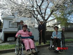 お花見